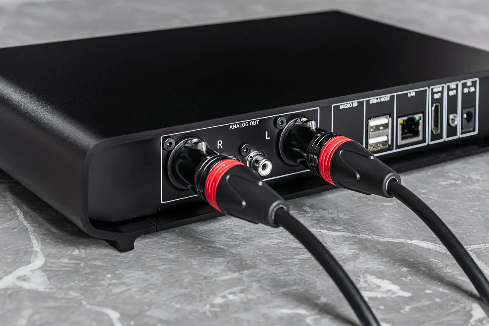 The back of Primo V3 on a marble top, with balanced XLR cables plugged in.