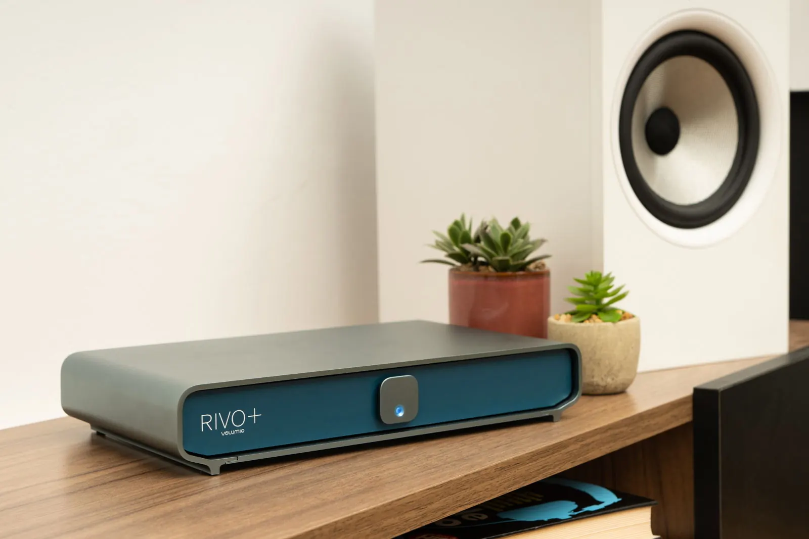 Rivo Plus in the Classic finish on a wooden shelf, next to two potted succulents and a white speaker.