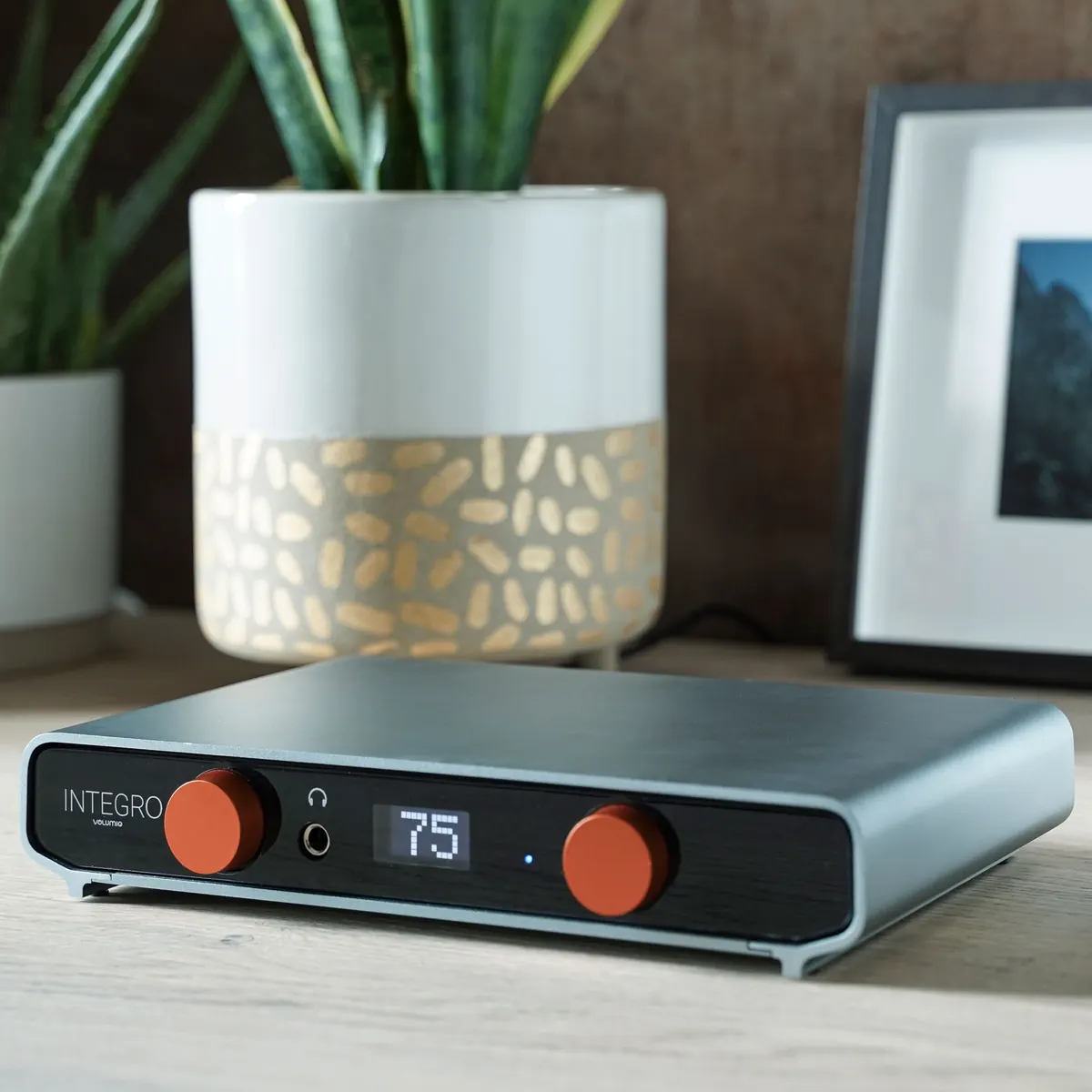Integro on a wooden table in front of a potted plant and a framed photo, its display showing 75.